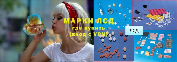 ГАЛЛЮЦИНОГЕННЫЕ ГРИБЫ Балабаново