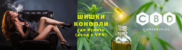 ГАЛЛЮЦИНОГЕННЫЕ ГРИБЫ Балабаново