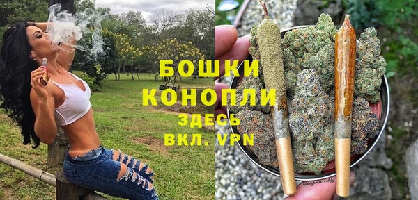 ГАЛЛЮЦИНОГЕННЫЕ ГРИБЫ Балабаново
