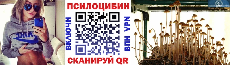 Галлюциногенные грибы Cubensis  наркота  гидра ТОР  Коммунар 